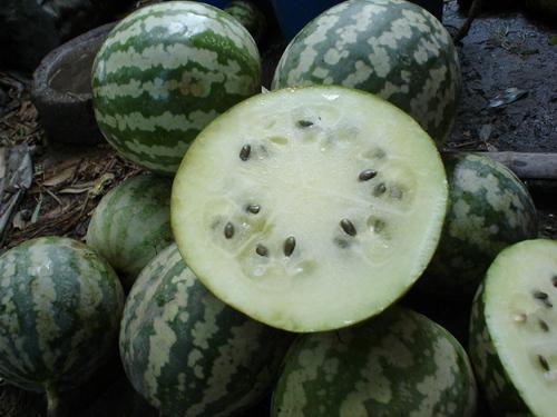 如何判断吃瓜爆料的真假,如何辨别真伪，守护网络信息安全