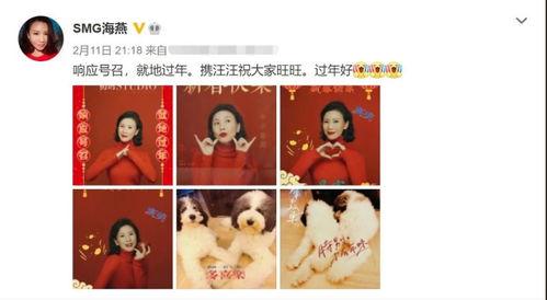 被吃瓜主播拉黑怎么办,被吃瓜主播拉黑后的应对策略与反思