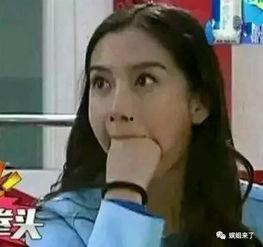 明星网红算啥职业,跨界融合下的新兴职业风采