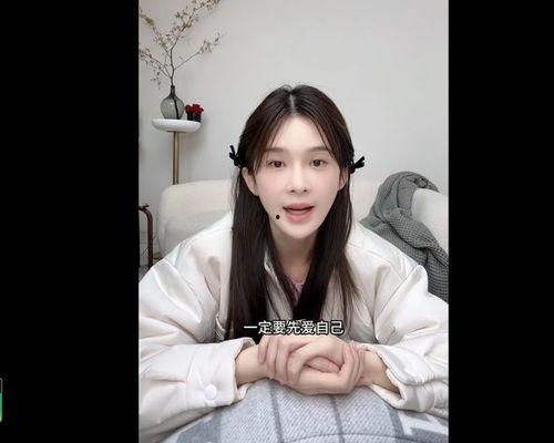 胖猫明星网红,萌态可掬，网络人气爆棚