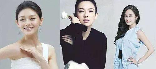 明星网红区别方法,身份差异与互动解析