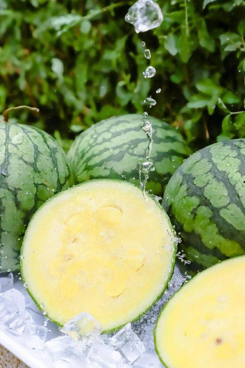 166.su 吃瓜黑料下载安装,轻松获取热门爆料