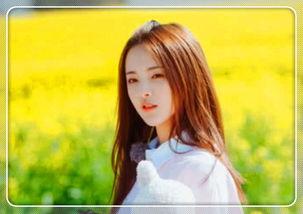 明星网红宣传套路,揭秘吸睛营销的五大套路