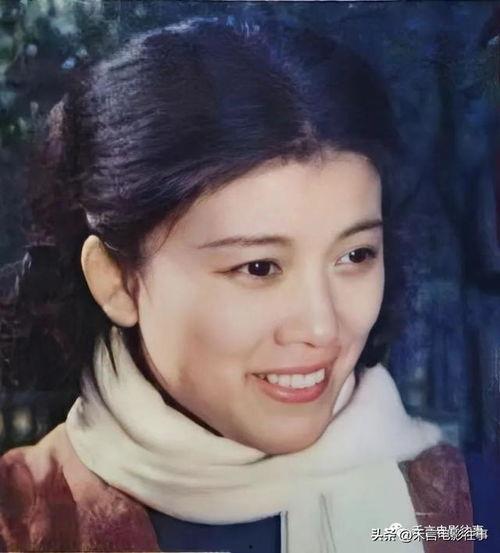 全国明星网红打造,揭秘网红经济新趋势