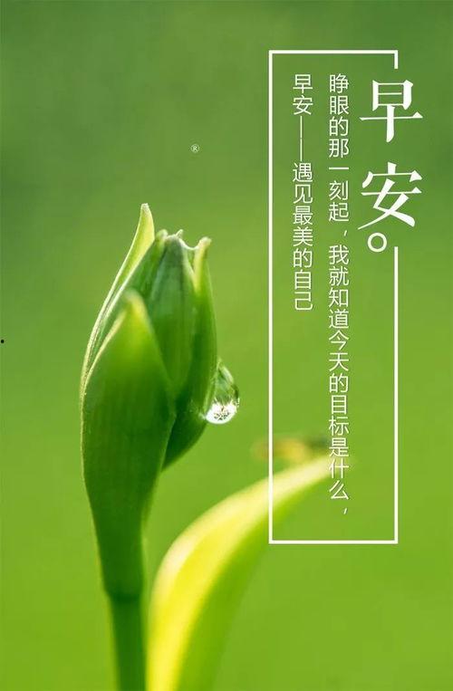 吃瓜爆料正能量图片大全,正能量图片大盘点