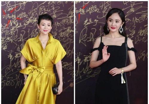 明星网红身高对比,身高对比盘点