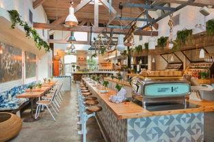 明星网红美食店,明星效应下的美食盛宴揭秘