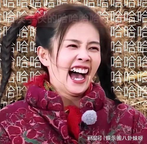 表情包明星网红,笑点满满，魅力四射