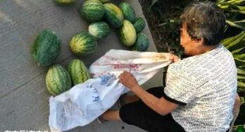 汾阳吃瓜最新事件爆料,揭秘背后惊人真相