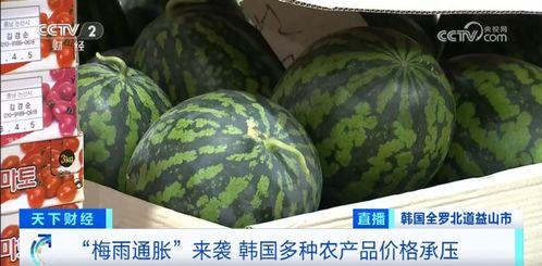 汾阳吃瓜最新事件爆料,揭秘背后惊人真相