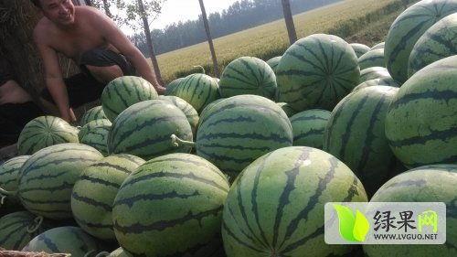 汾阳吃瓜最新事件爆料,揭秘背后惊人真相