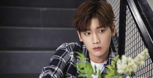 吃瓜爆料范世琦视频,揭秘娱乐圈幕后真相