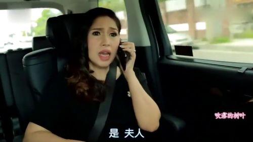 明星网红各种吹,网红明星效应下的“吹”文化现象解析