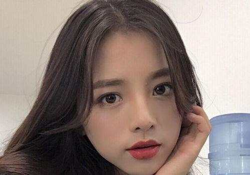 明星网红出道排名,揭秘热门人物崛起之路