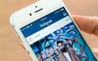 明星网红instagram账号,热门话题与粉丝互动全解析”