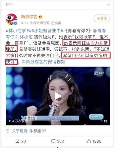 旅游直播明星网红,直播带你领略旅游网红明星的魅力之旅