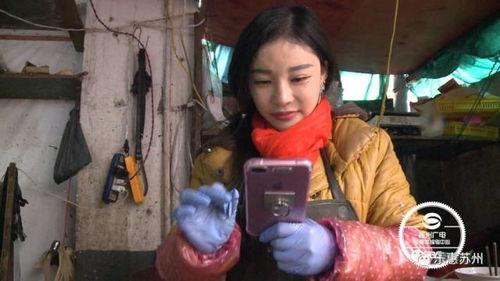 明星网红卖鱼,明星网红引领卖鱼热潮