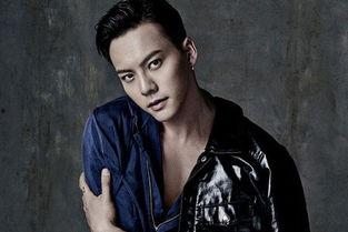 当代男明星网红,当代男明星网红的崛起之路