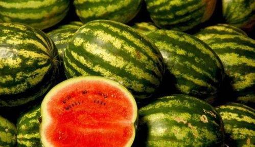 吃的黑西瓜子什么瓜结的,揭秘结出黑籽的神秘瓜种