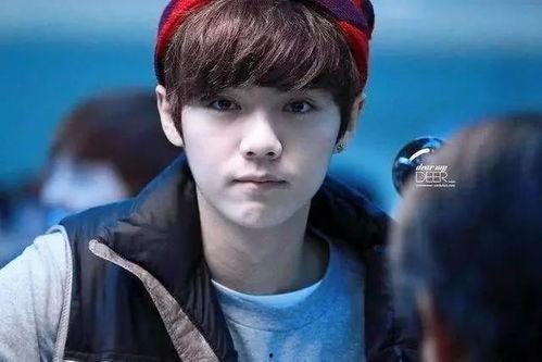 吃瓜娱乐圈陈哲远微博