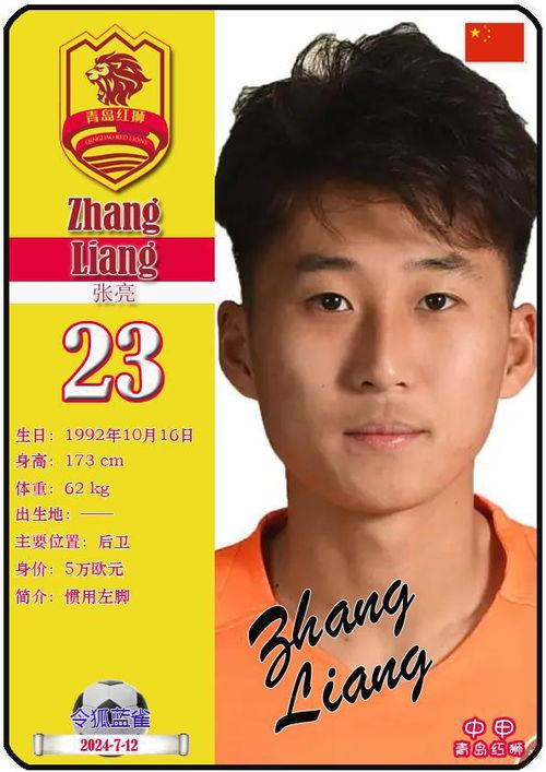 2024明星网红卡片,璀璨星光下的网络新势力