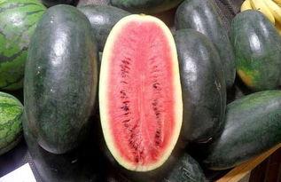 17CCgCg吃瓜网黑料曝料,揭秘娱乐圈黑料风云