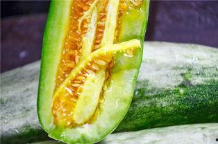 网红吃瓜爆料怎么找,探寻幕后真相与热点追踪