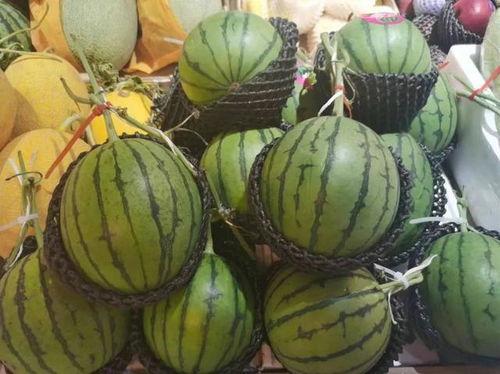 小马拉大车黑料吃瓜,揭秘娱乐圈黑料背后的真相与吃瓜群众的热议