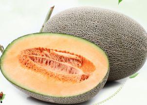 黑兔可以吃哈密瓜吗有毒吗,黑兔食用哈密瓜的安全性探讨