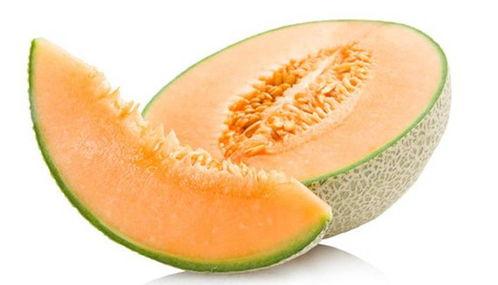 黑兔可以吃哈密瓜吗有毒吗,黑兔食用哈密瓜的安全性探讨