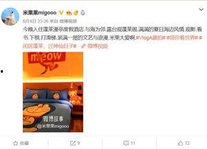 lpg明星网红打卡,明星效应引领潮流风尚