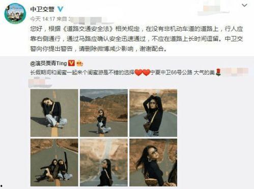 lpg明星网红打卡,明星效应引领潮流风尚