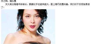 长得最像明星网红,揭秘当红明星的神秘面纱