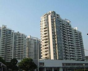 杭州明星网红买房